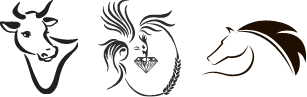 Diamond Seed Simorgh Co